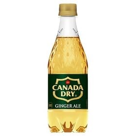 【48本】カナダドライジンジャーエール 500mlPET