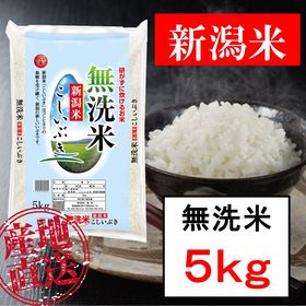 【5kg】無洗米 新潟産こしいぶき 令和4年産