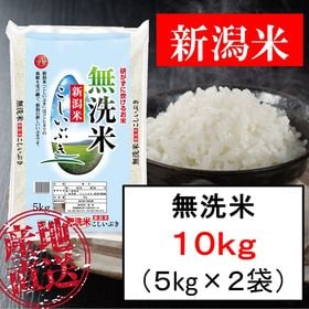 【10kg】無洗米 新潟産こしいぶき 令和4年産