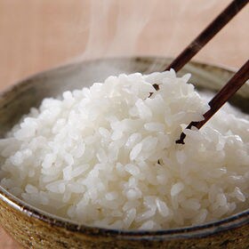 【5kg】新米　令和4年産　三重県産コシヒカリ | お米の風味と甘みが感じられるお米です！