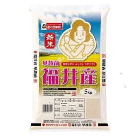【5kg】新米　令和4年産　福井県産華越前 | 色白の美しいお米。食感はやや固めで、粘りはもちろん、しっかりとした食べ応え