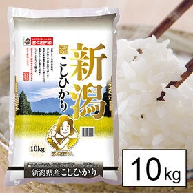 【10kg】新米　令和4年産　新潟県産コシヒカリ | 美しく風味豊かな感動のごはんをあなたに。
