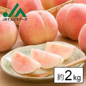 【約2kg】山形県産白桃(品種・玉数おまかせ)※ご家庭用