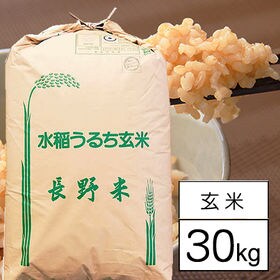 令和4年産 新米【30kg/玄米】特別栽培米 長野県南信州産...