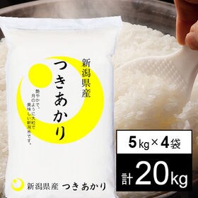 令和4年産 新米【20kg/白米】 越後の米 令和4年産 新潟県産 つきあかり（5kg×4袋） | 令月にして大粒で艶やかなお米。ご飯にツヤがあり、旨みに優れ冷めても味わい美味しさを保ちます