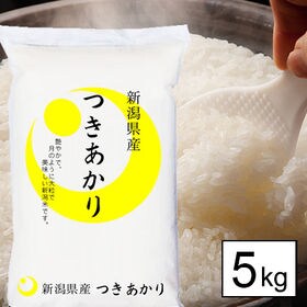 令和4年産 新米【5kg/白米】 越後の米 令和4年産 新潟県産 つきあかり 白米（5kg×1袋） | 令月にして大粒で艶やかなお米。ご飯にツヤがあり、旨みに優れ冷めても味わい美味しさを保ちます