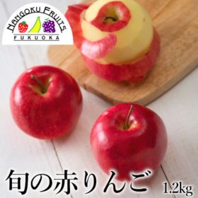【長野/青森】約1.2kg  旬の赤りんご