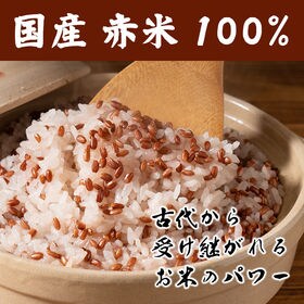 令和4年度産【5kg(500g×10袋)】国産赤米 (雑穀米...