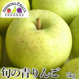 【長野/青森】5kg箱（18-20玉）旬の青林檎