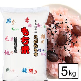 令和4年産 新米【5kg/白米】もち米 令和4年産 新潟県産 こがねもち（5kg×1袋） | 日本を代表する越後のもち米。おいしいお餅になります♪
