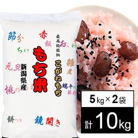 令和4年産 新米【10kg/白米】もち米 令和4年産 新潟県産 こがねもち（5kg×2袋） | 日本を代表する越後のもち米。おいしいお餅になります♪