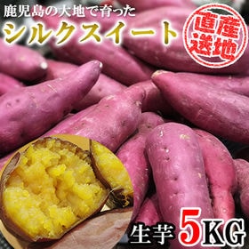 【5kgセット】鹿児島県産シルクスイート FJK-001