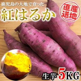 【5kgセット】 鹿児島県産紅はるか FJK-000