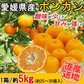 【5kgセット】 愛媛県産ポンカン YDF-002