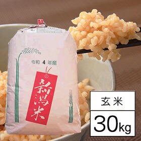 【30kg/玄米】 令和4年産 新潟県中越産 新之助 1等 玄米（30kg×1袋） | きらめく大粒、コクと甘みに満ちている美味しいお米です◎