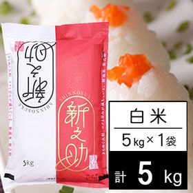 【5kg/白米】 令和4年産 新潟県中越産 新之助 白米（5kg×1袋） | きらめく大粒、コクと甘みに満ちている美味しいお米です◎