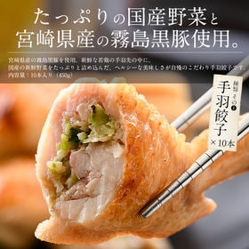 【10本/450g】手羽餃子 手羽先(手羽餃子)