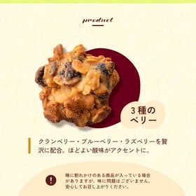 【100g】ヘルシーオートミールクッキー(3種のベリー)※割れ欠けあり