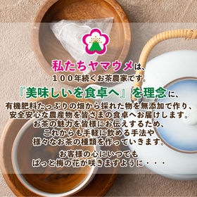 【5g×10包】ヤマウメの2種焙煎ほうじ茶ティーパック