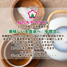 【5g×80包】ヤマウメの2種焙煎ほうじ茶ティーパック