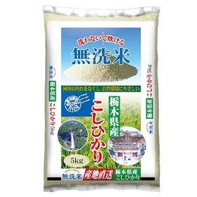 【5kg】令和4年産 栃木県産コシヒカリ 無洗米