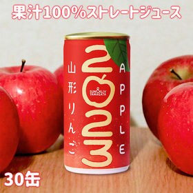 【190g×30本】山形りんご2023 果汁100％ストレー...