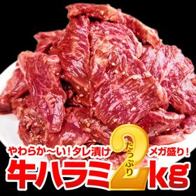 【2kg(500g×4)】極厚秘伝のタレ漬け牛ハラミ