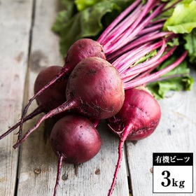 【3kg】鹿児島県産 有機ビーツ | 鹿児島県で有機栽培された元気の元がたっぷり詰まった健康野菜。料理からスイーツまで活躍します