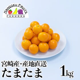 【宮崎産】1kg　たまたま金柑エクセレント(産地直送)糖度1...