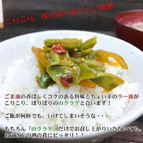 【220g×2袋】ご飯のお供 献上菜 山クラゲ