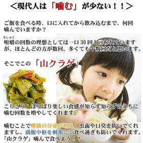 【220g×2袋】ご飯のお供 献上菜 山クラゲ