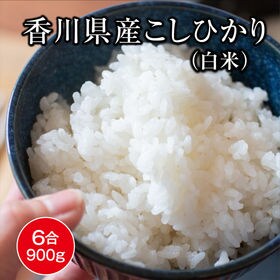 【900g(6合分)】《令和4年度産》香川県産コシヒカリ白米