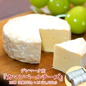【10個 125gx10（計1250g）】カマンベールチーズ | とろける食感と生乳のコク