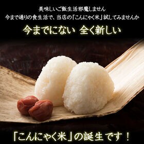 【500g(500g×1袋)】無農薬栽培のむかごこんにゃく米 (マンナンライス・チャック付き)