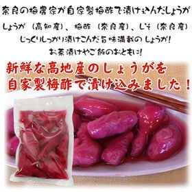 無添加 高知県産 ・奈良の梅農家が自家製の梅酢で漬け込んだ紅...