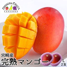 〈宮崎産〉L2玉　完熟マンゴー | 宮崎完熟マンゴーの中でも最上級！　濃厚な甘さと滑らかな味わい！