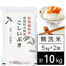 【10kg/無洗米】特別栽培米 令和4年産 新潟県産 こしい...