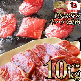 【10kg】牛 ハラミ 焼肉 牛肉 メガ盛り（250g×40パック） | 柔らかな焼肉大定番！ジューシーな旨味あふれる「牛ハラミ」便利な小分けパック◎