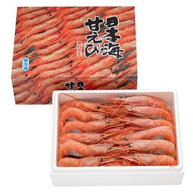 【福井直送】日本海甘えび 子持ち 500g(大30尾)