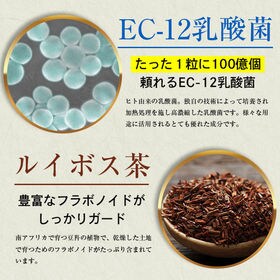 【お得な2個セット】国産 長期熟成醗酵 黒じゃばら粒 トリプルガードEX 30粒×2個セット