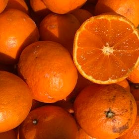 【約5kg】愛媛県産  今の時期に食べられる温州みかん(カラマンダリン)(ご家庭用）