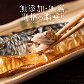 【約2kg(12-16尾)】無添加 無塩 トロさば