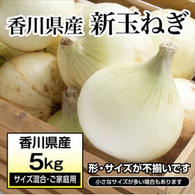 【約5kg(サイズ混合・ご家庭用)】新たまねぎ 香川県産  旬の採れたて新玉ねぎをお届け | サイズ不揃いの商品ですがこの時期にしか食べられない旬の玉ねぎです♪