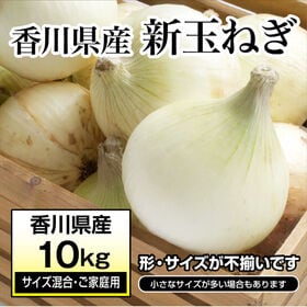 【約10kg(サイズ混合・ご家庭用)】新たまねぎ 香川県産  旬の採れたて新玉ねぎをお届け | サイズ不揃いの商品ですがこの時期にしか食べられない旬の玉ねぎです♪
