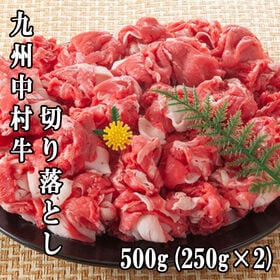 【500g(250g×2)】九州中村牛 切り落とし | 高級ホテル・飲食店などのメニューで使用されている中村牛。製造過程で出る切り落としを特別に。