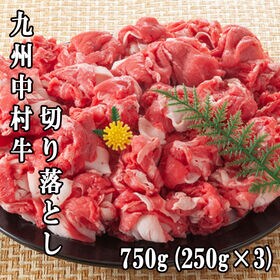 【750g(250g×3)】九州中村牛 切り落とし | 高級ホテル・飲食店などのメニューで使用されている中村牛。製造過程で出る切り落としを特別に。