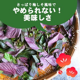 【220g(4パック小分け)】おつまみ 国産茎わかめ 梅しそ風味