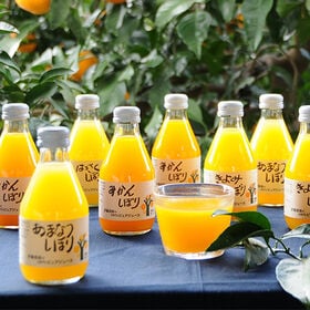 【和歌山】伊藤農園　100%ピュアジュース180ml×8本＆ピュアフルーツ寒天ジュレ×8個セット