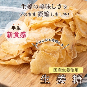 【100g(100g×1)】国産(高知県産)生姜糖ドライフル...