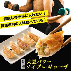 【60個入り】大豆パワーソイプロギョーザ（30個入り×2袋）大豆と野菜がしっかり！植物性餃子♪